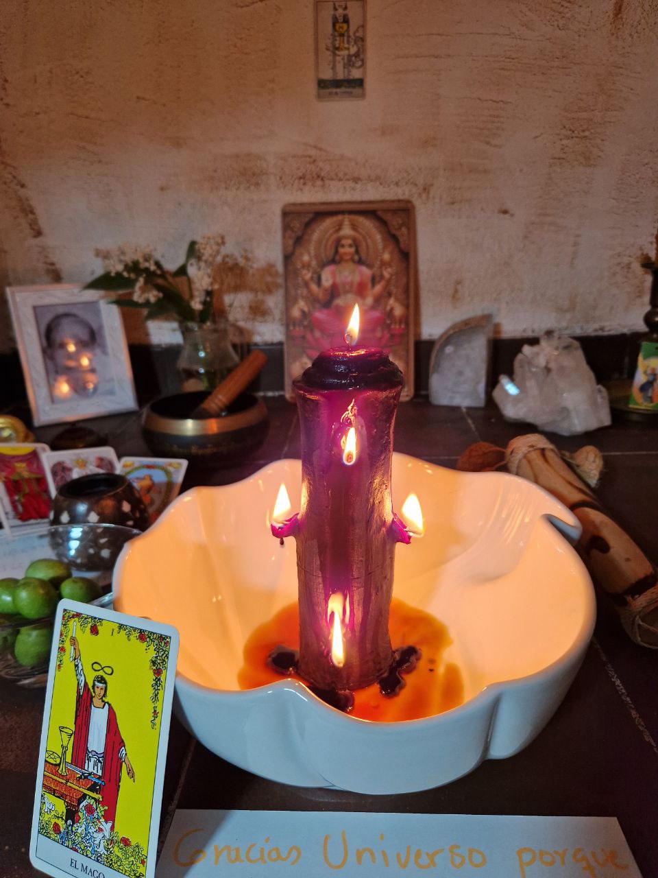 photo_6046414483997002574_y